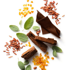 Stetson Spirit Deodorant | Men Stetson Grooming