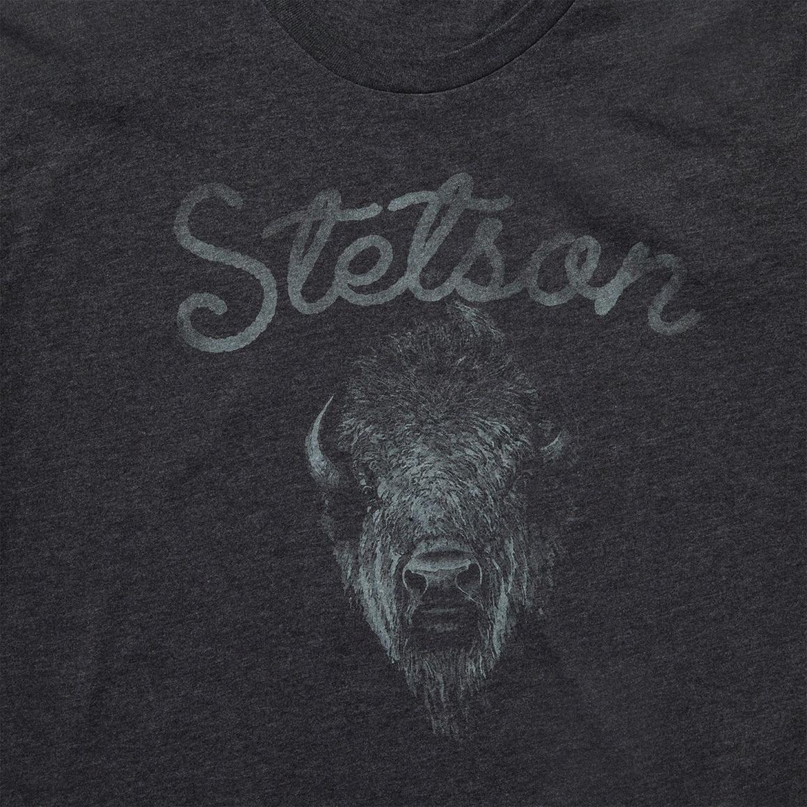 Bison Spirit Graphic Tee Black | Men Stetson Tees
