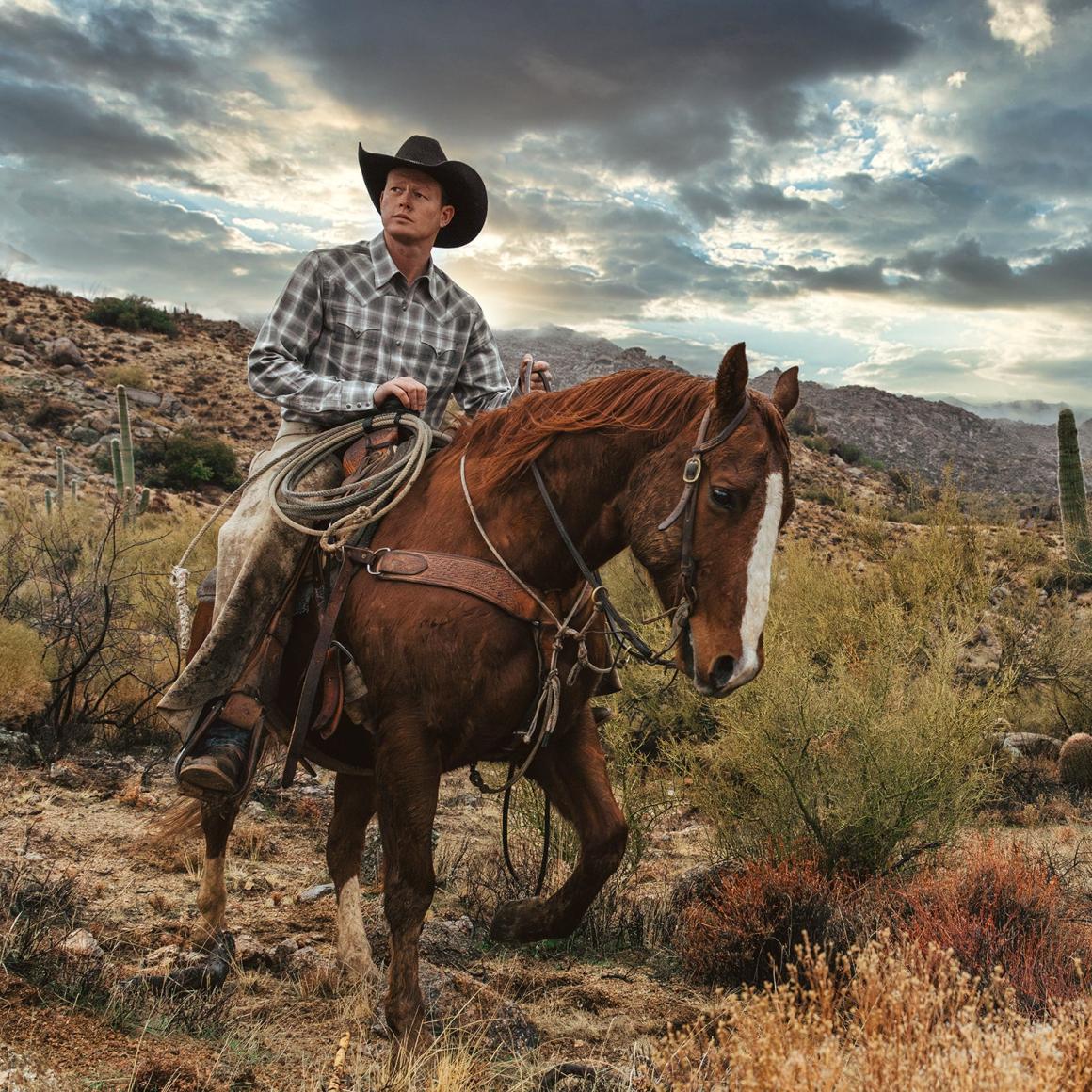 Dobby Twill Plaid Shirt Brown | Men Stetson Western Shirts