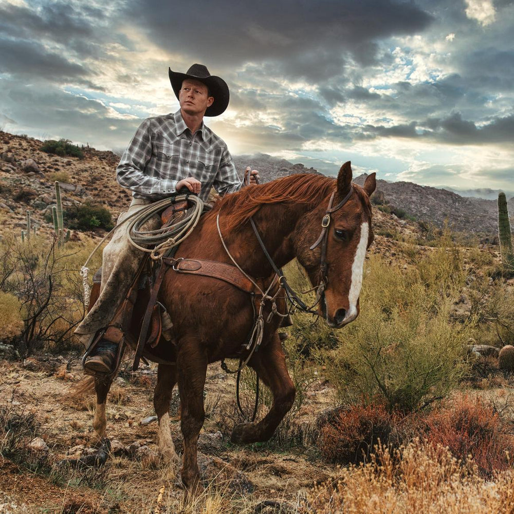 Dobby Twill Plaid Shirt Brown | Men Stetson Western Shirts