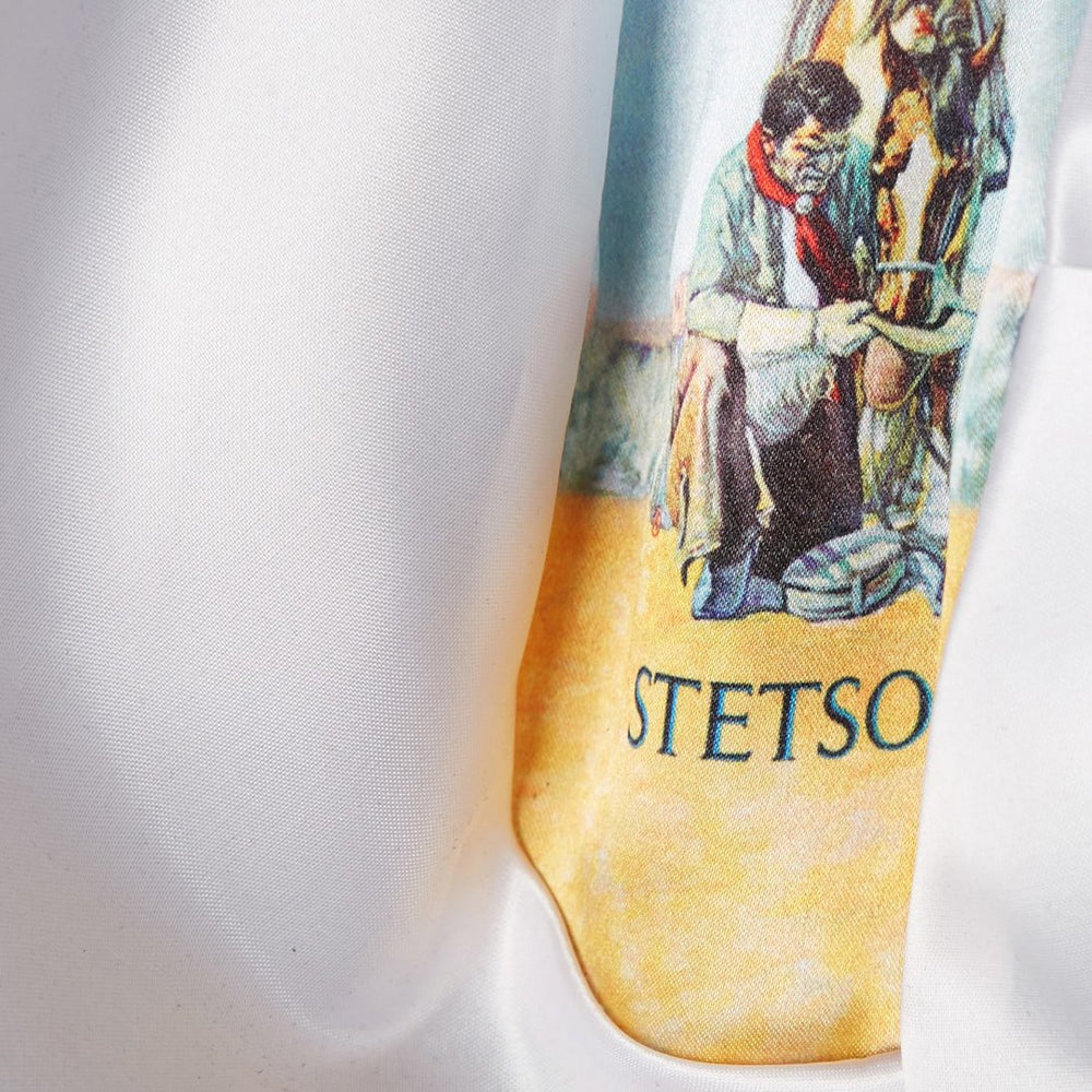 Lariat 5X Cowboy Hat - 4 5/8" Crown Black | Men/Women Stetson Western