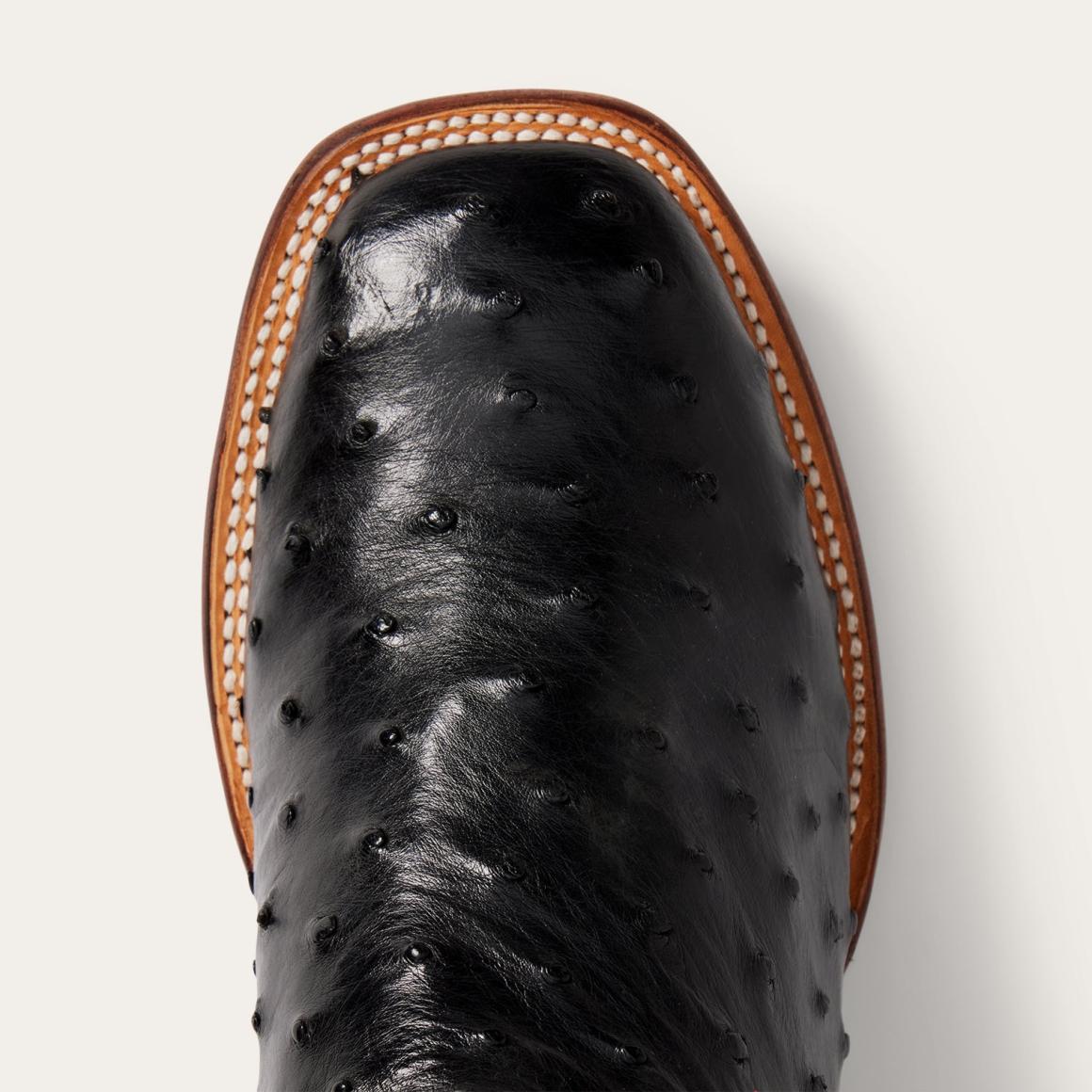 Ozzy Ostrich Boot Black | Men Stetson Western