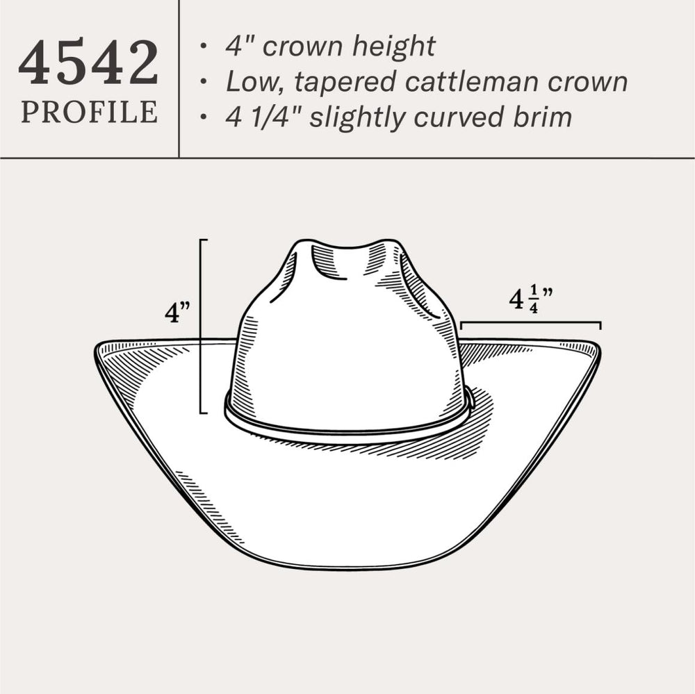 Rincon 10X Straw Cowboy Hat Natural | Men/Women Stetson Western