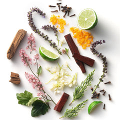 Stetson Oasis Deodorant | Men Stetson Grooming