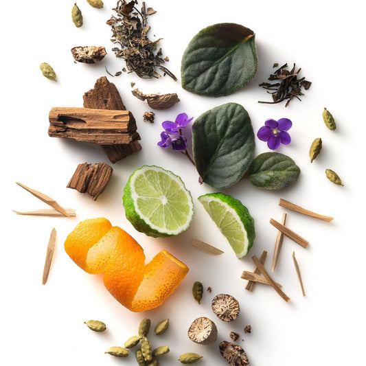 Stetson Off Road Deodorant | Men Stetson Grooming