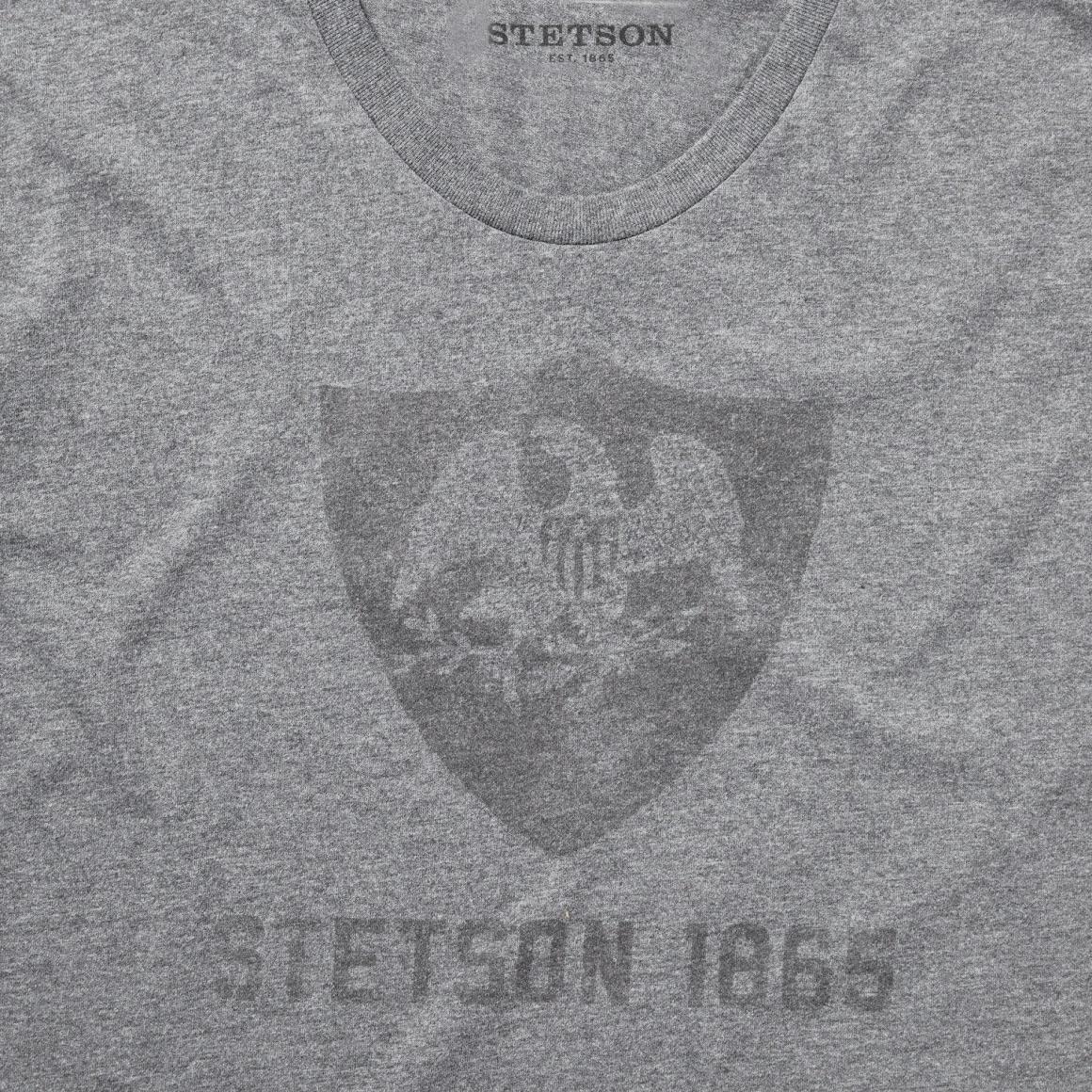 Vintage Eagle Graphic Tee Grey | Men Stetson Tees
